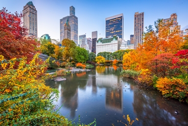 New York - Central Park