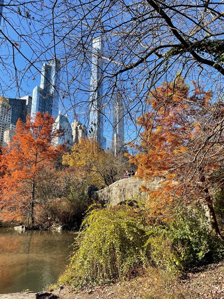New York - Central Park.jpg New York - Central Park
