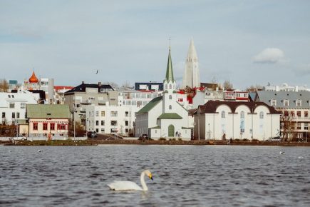 Reykjavik stedentrip