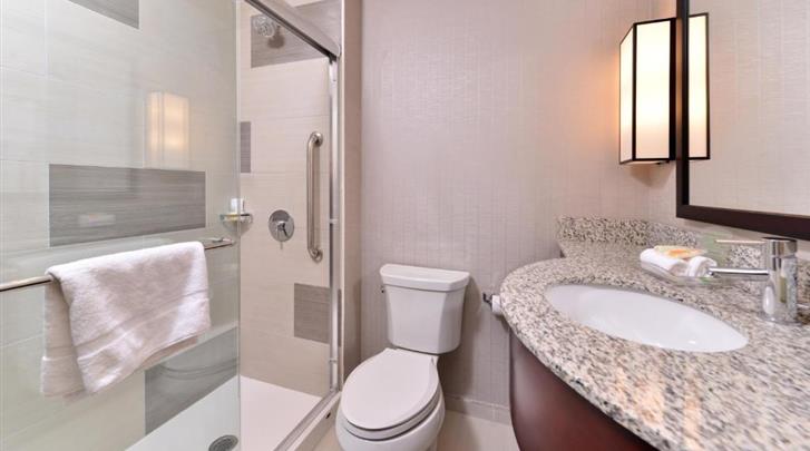 New York, Hotel Holiday Inn New York City - Times Square, Badkamer